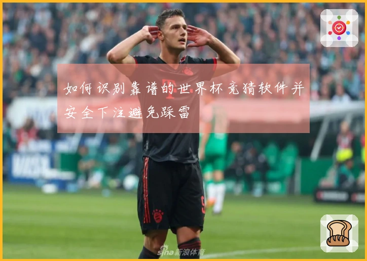 如何识别靠谱的世界杯竞猜软件并安全下注避免踩雷