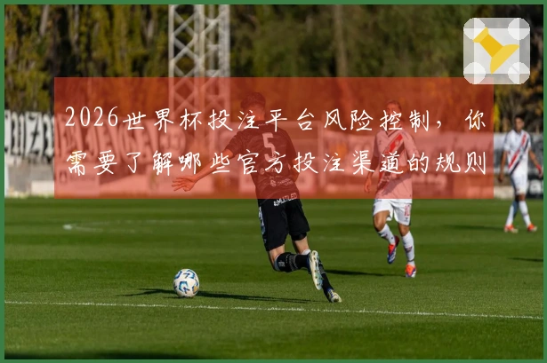 2026世界杯投注平台风险控制，你需要了解哪些官方投注渠道的规则和特点