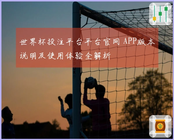 世界杯投注平台平台官网 APP版本说明及使用体验全解析