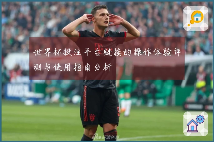 世界杯投注平台链接的操作体验评测与使用指南分析