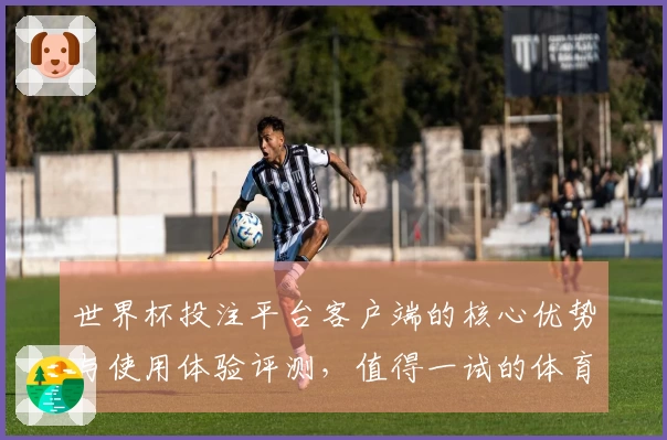世界杯投注平台客户端的核心优势与使用体验评测，值得一试的体育直播选择