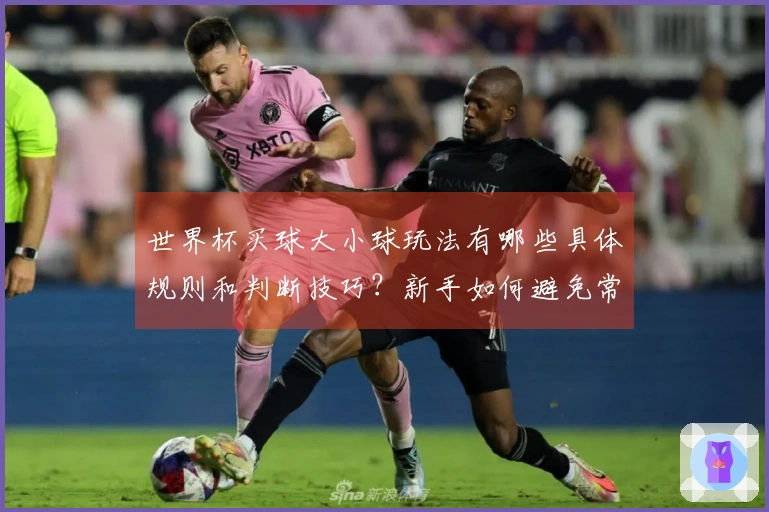世界杯买球大小球玩法有哪些具体规则和判断技巧？新手如何避免常见陷阱