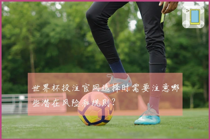 世界杯投注官网选择时需要注意哪些潜在风险和规则？