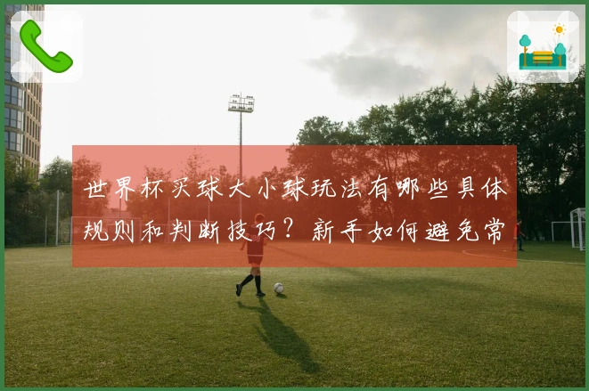 世界杯买球大小球玩法有哪些具体规则和判断技巧？新手如何避免常见陷阱
