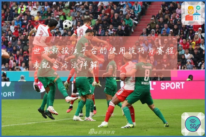 世界杯投注平台的使用技巧与赛程表配合方法详解