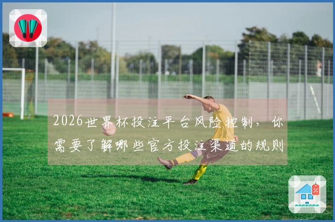 2026世界杯投注平台风险控制，你需要了解哪些官方投注渠道的规则和特点