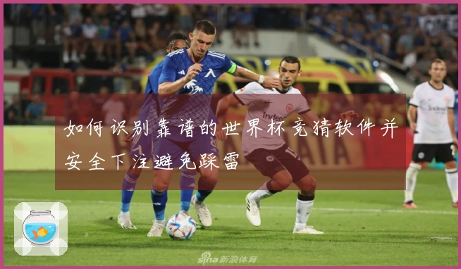 如何识别靠谱的世界杯竞猜软件并安全下注避免踩雷