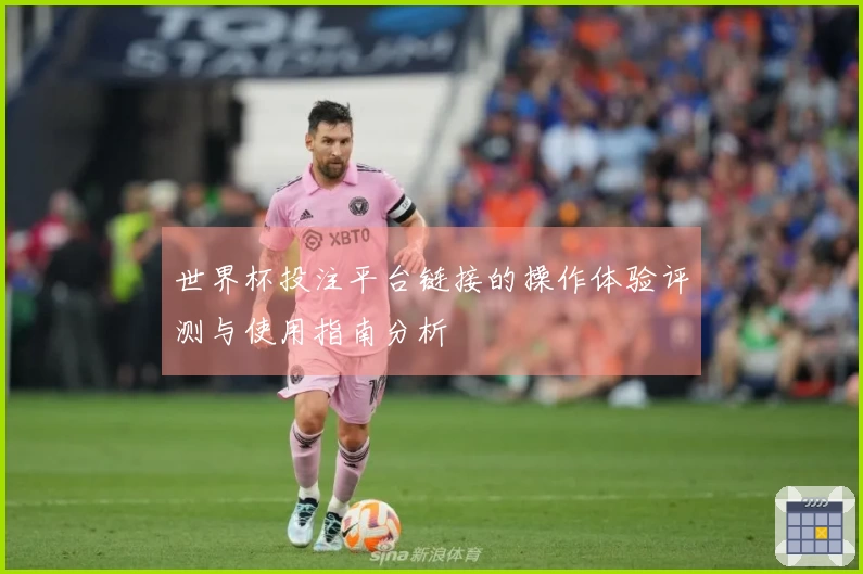 世界杯投注平台链接的操作体验评测与使用指南分析