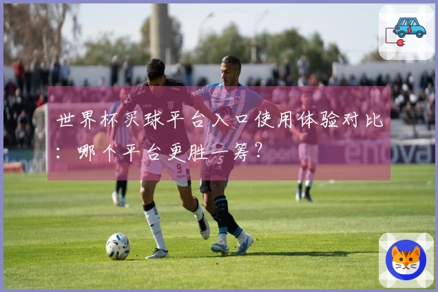 世界杯买球平台入口使用体验对比：哪个平台更胜一筹？