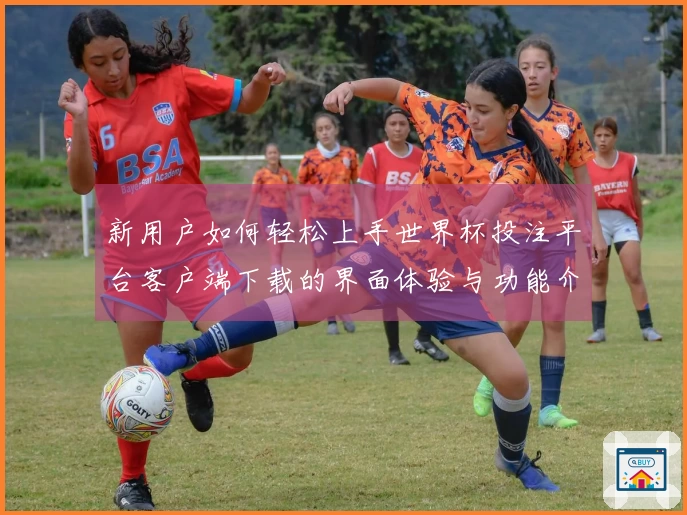 新用户如何轻松上手世界杯投注平台客户端下载的界面体验与功能介绍