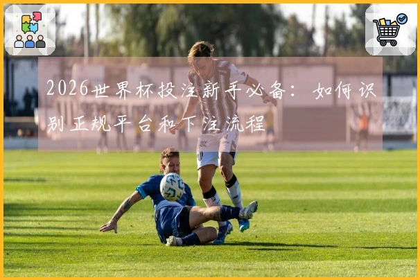 2026世界杯投注新手必备：如何识别正规平台和下注流程