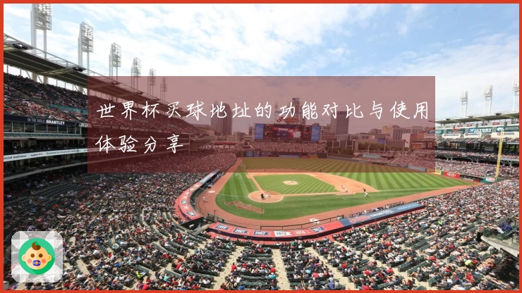 世界杯买球地址的功能对比与使用体验分享